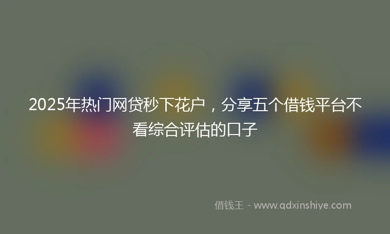 2025年热门网贷秒下花户，分享五个借钱平台不看综合评估的口子