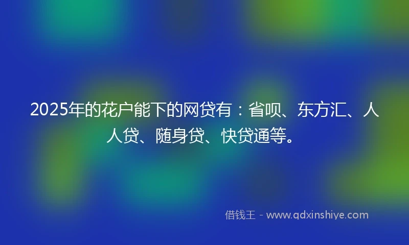 2025年的花户能下的网贷有：省呗、东方汇、人人贷、随身贷、快贷通等。