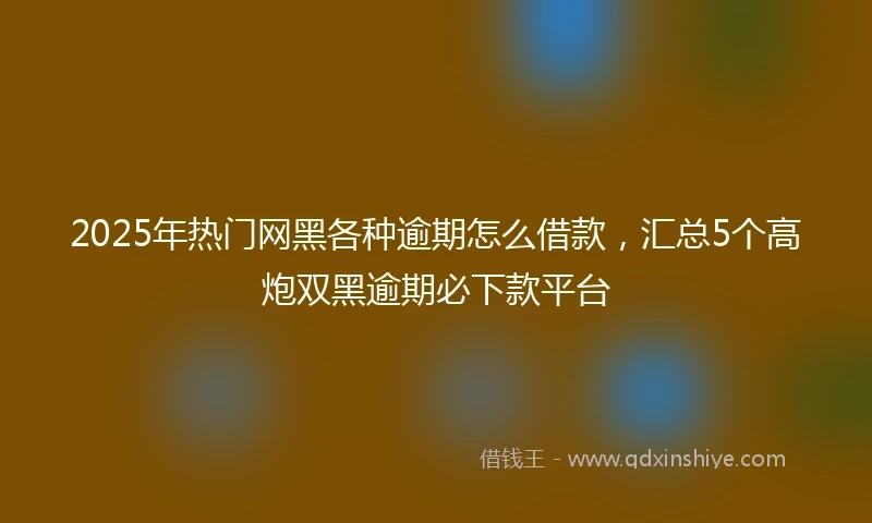 2025年热门网黑各种逾期怎么借款，汇总5个高炮双黑逾期必下款平台