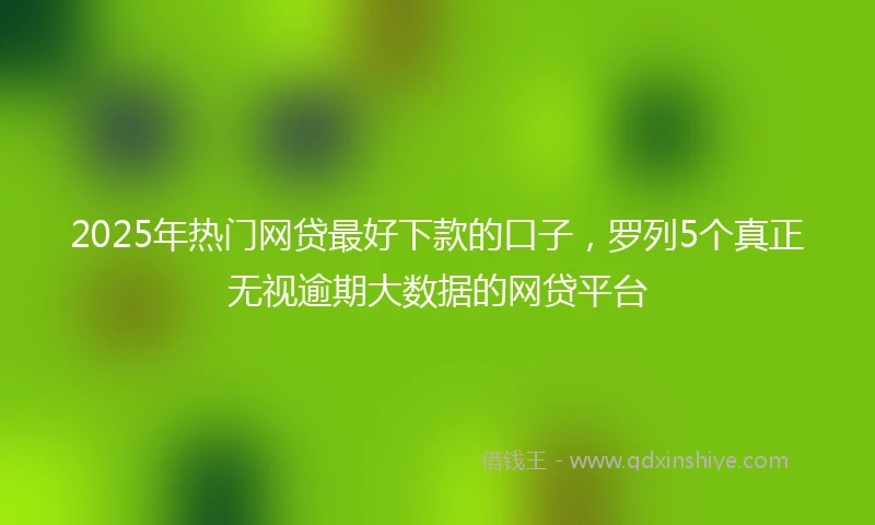 2025年热门网贷最好下款的口子，罗列5个真正无视逾期大数据的网贷平台
