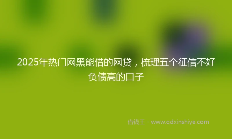 2025年热门网黑能借的网贷，梳理五个征信不好负债高的口子