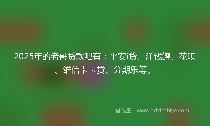 2025年的老哥贷款吧有：平安i贷、洋钱罐、花呗、维信卡卡贷、分期乐等。