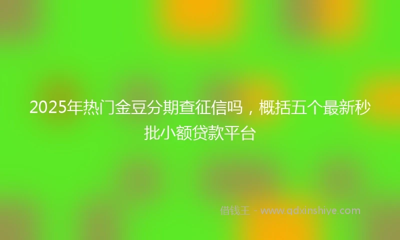 2025年热门金豆分期查征信吗，概括五个最新秒批小额贷款平台
