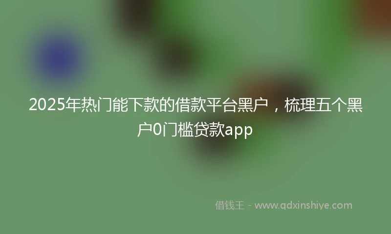 2025年热门能下款的借款平台黑户，梳理五个黑户0门槛贷款app