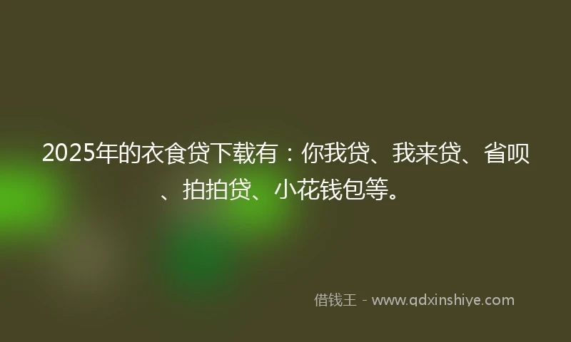 2025年的衣食贷下载有：你我贷、我来贷、省呗、拍拍贷、小花钱包等。