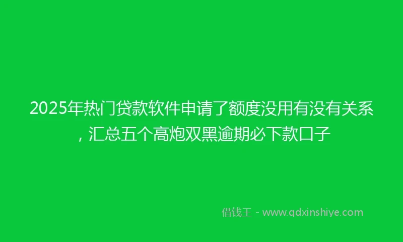 2025年热门贷款软件申请了额度没用有没有关系,汇总五个高炮双黑逾期必下款口子