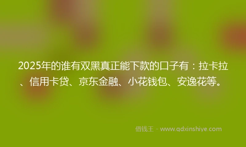 2025年的谁有双黑真正能下款的口子有：拉卡拉、信用卡贷、京东金融、小花钱包、安逸花等。