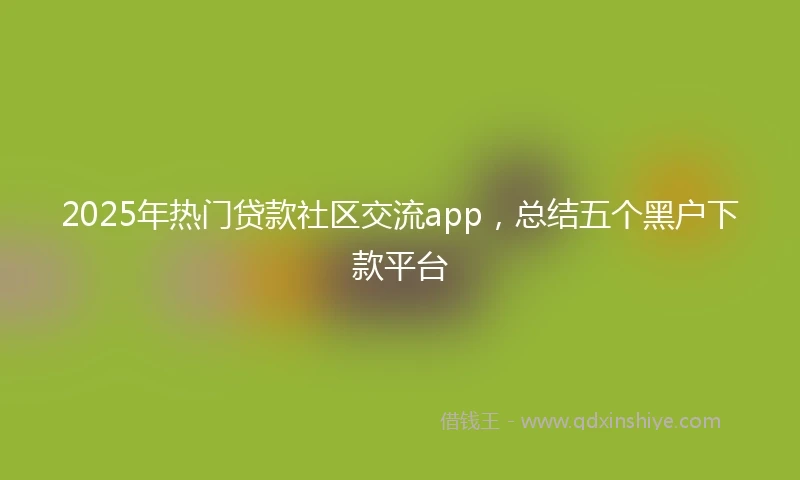 2025年热门贷款社区交流app，总结五个黑户下款平台