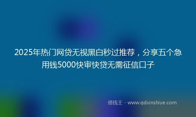 2025年热门网贷无视黑白秒过推荐，分享五个急用钱5000快审快贷无需征信口子