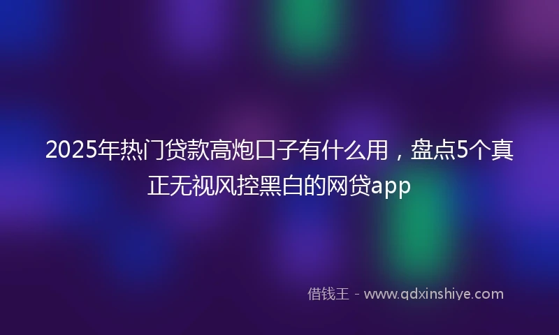 2025年热门贷款高炮口子有什么用，盘点5个真正无视风控黑白的网贷app