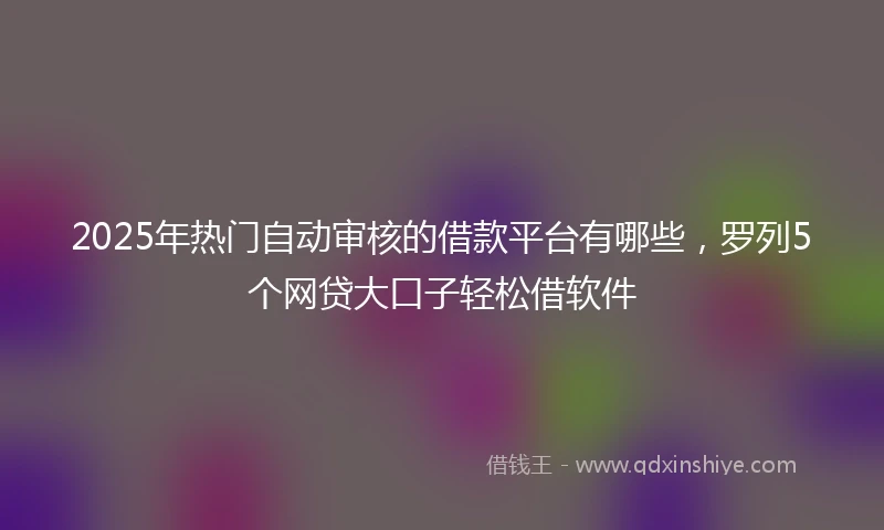2025年热门自动审核的借款平台有哪些，罗列5个网贷大口子轻松借软件