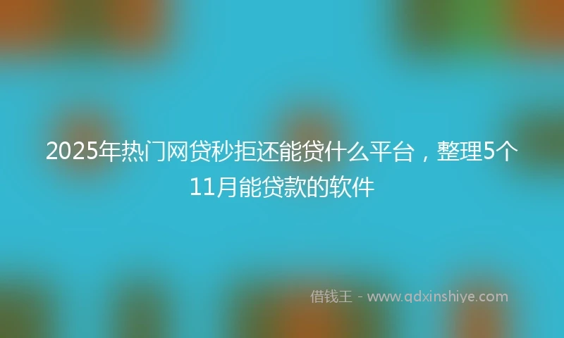2025年热门网贷秒拒还能贷什么平台，整理5个11月能贷款的软件