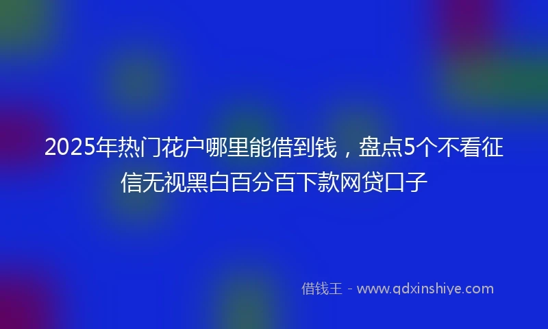 2025年热门花户哪里能借到钱，盘点5个不看征信无视黑白百分百下款网贷口子