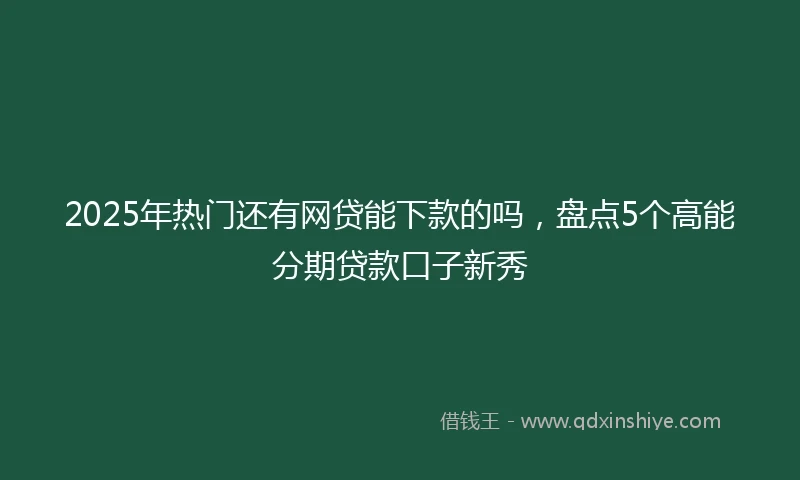 2025年热门还有网贷能下款的吗，盘点5个高能分期贷款口子新秀