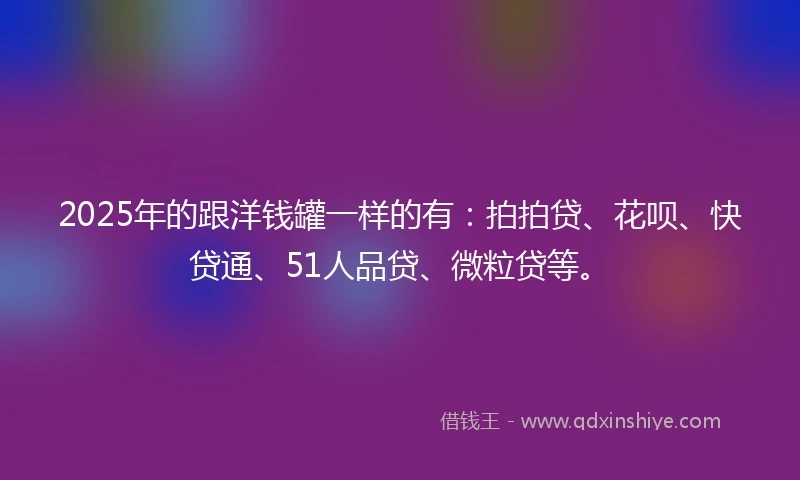 2025年的跟洋钱罐一样的有：拍拍贷、花呗、快贷通、51人品贷、微粒贷等。