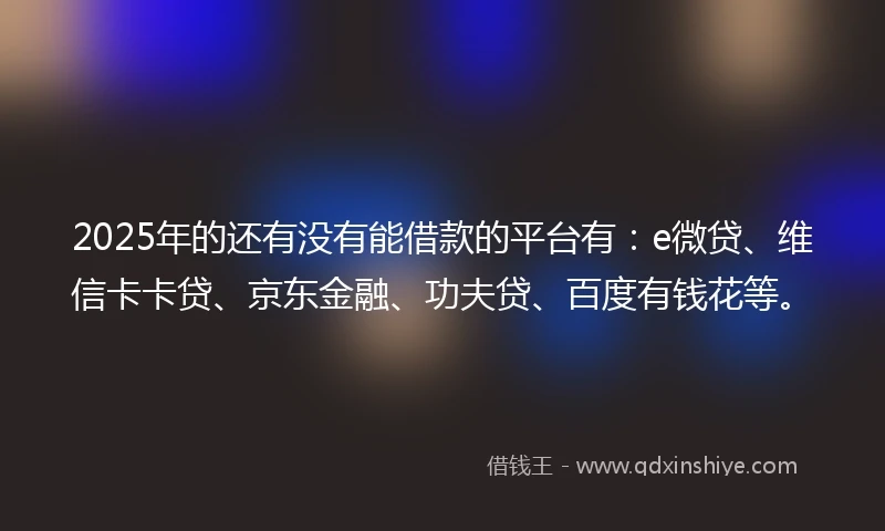 2025年的还有没有能借款的平台有：e微贷、维信卡卡贷、京东金融、功夫贷、百度有钱花等。