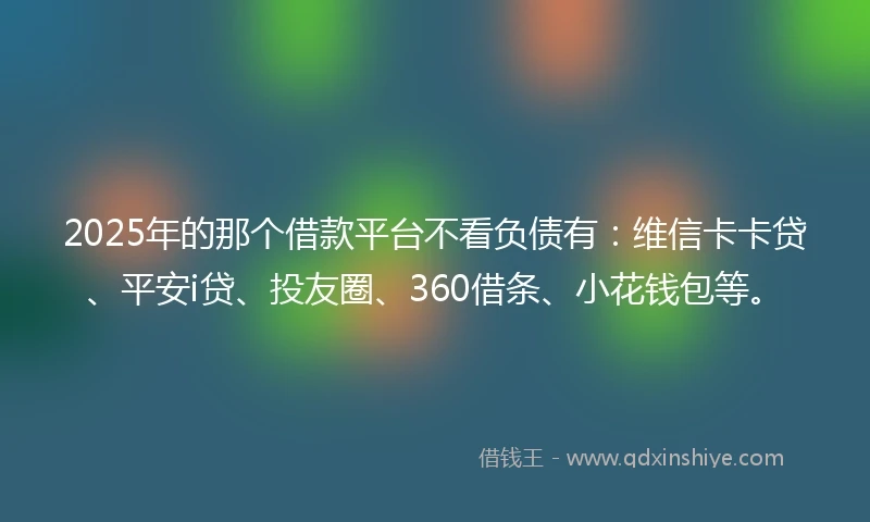 2025年的那个借款平台不看负债有：维信卡卡贷、平安i贷、投友圈、360借条、小花钱包等。