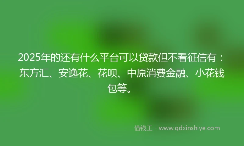 2025年的还有什么平台可以贷款但不看征信有：东方汇、安逸花、花呗、中原消费金融、小花钱包等。