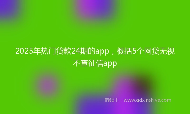 2025年热门贷款24期的app，概括5个网贷无视不查征信app