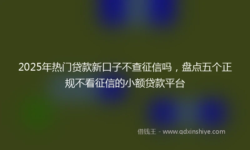 2025年热门贷款新口子不查征信吗，盘点五个正规不看征信的小额贷款平台