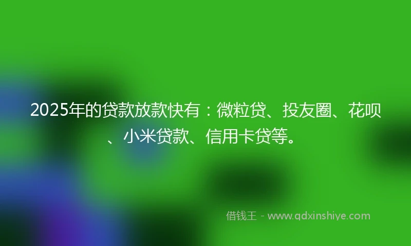 2025年的贷款放款快有：微粒贷、投友圈、花呗、小米贷款、信用卡贷等。