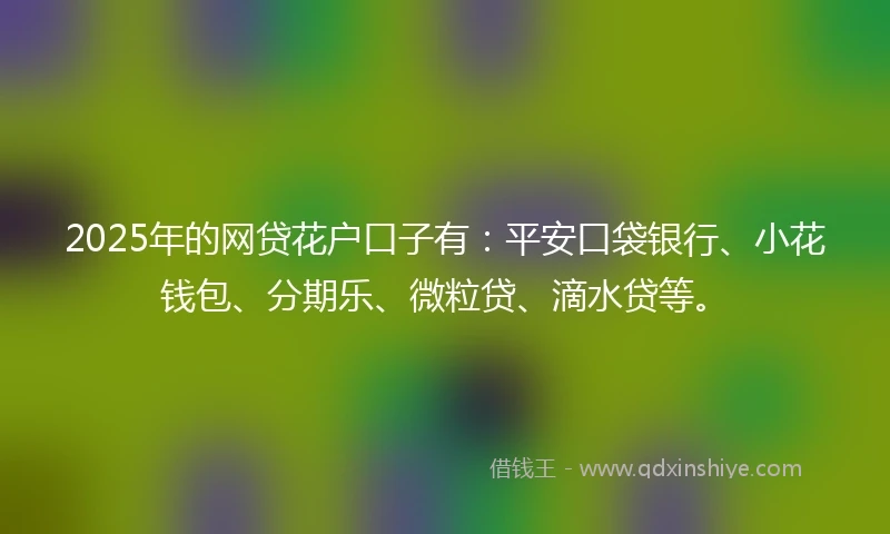 2025年的网贷花户口子有：平安口袋银行、小花钱包、分期乐、微粒贷、滴水贷等。