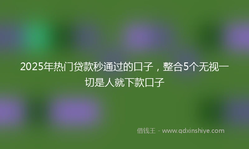 2025年热门贷款秒通过的口子，整合5个无视一切是人就下款口子