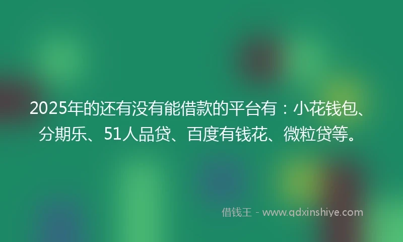 2025年的还有没有能借款的平台有：小花钱包、分期乐、51人品贷、百度有钱花、微粒贷等。