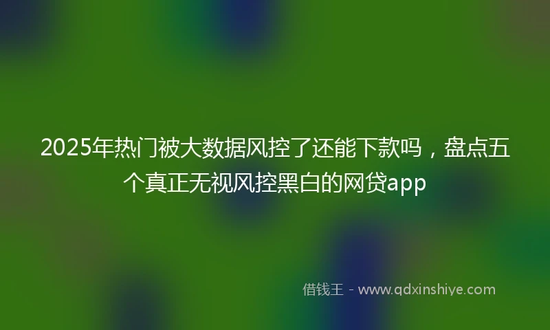 2025年热门被大数据风控了还能下款吗，盘点五个真正无视风控黑白的网贷app