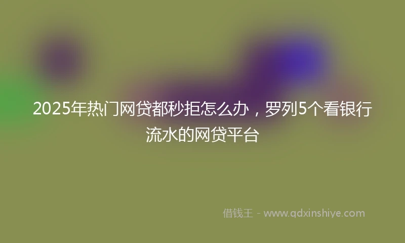 2025年热门网贷都秒拒怎么办，罗列5个看银行流水的网贷平台