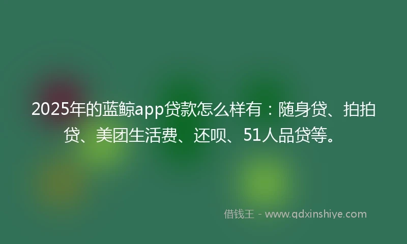 2025年的蓝鲸app贷款怎么样有：随身贷、拍拍贷、美团生活费、还呗、51人品贷等。