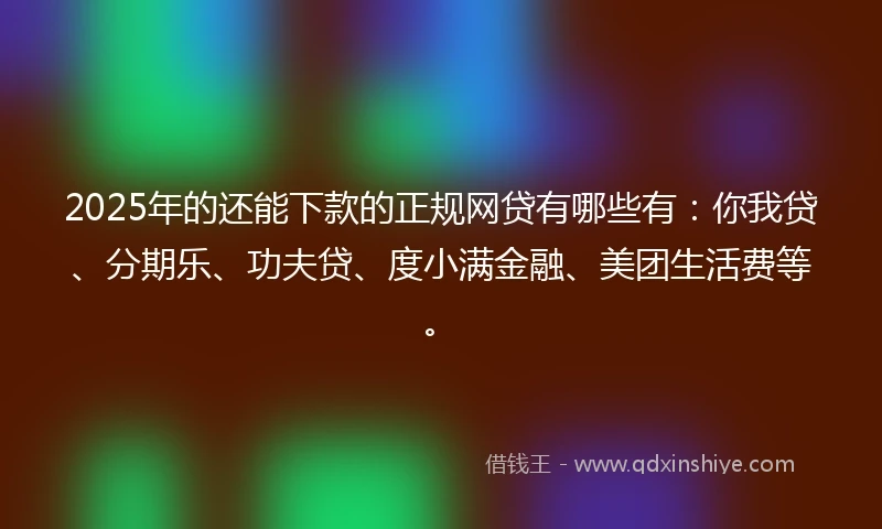 2025年的还能下款的正规网贷有哪些有:你我贷、分期乐、功夫贷、度小满金融、美团生活费等。