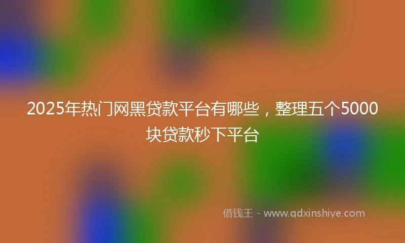 2025年热门网黑贷款平台有哪些，整理五个5000块贷款秒下平台