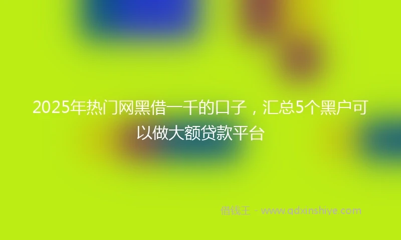 2025年热门网黑借一千的口子，汇总5个黑户可以做大额贷款平台