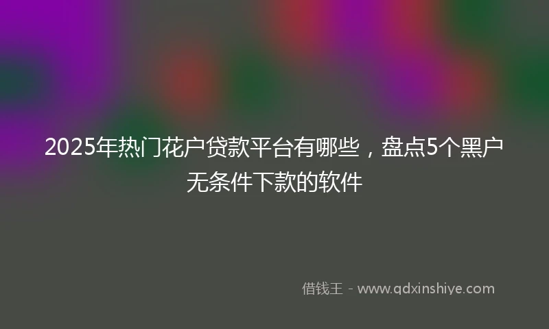 2025年热门花户贷款平台有哪些，盘点5个黑户无条件下款的软件
