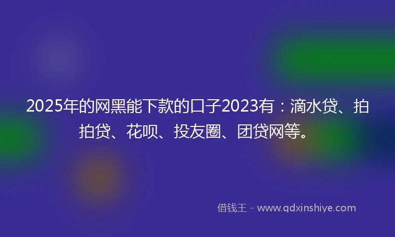2025年的网黑能下款的口子2023有：滴水贷、拍拍贷、花呗、投友圈、团贷网等。