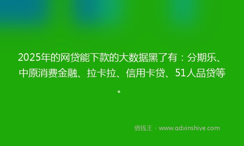 2025年的网贷能下款的大数据黑了有：分期乐、中原消费金融、拉卡拉、信用卡贷、51人品贷等。