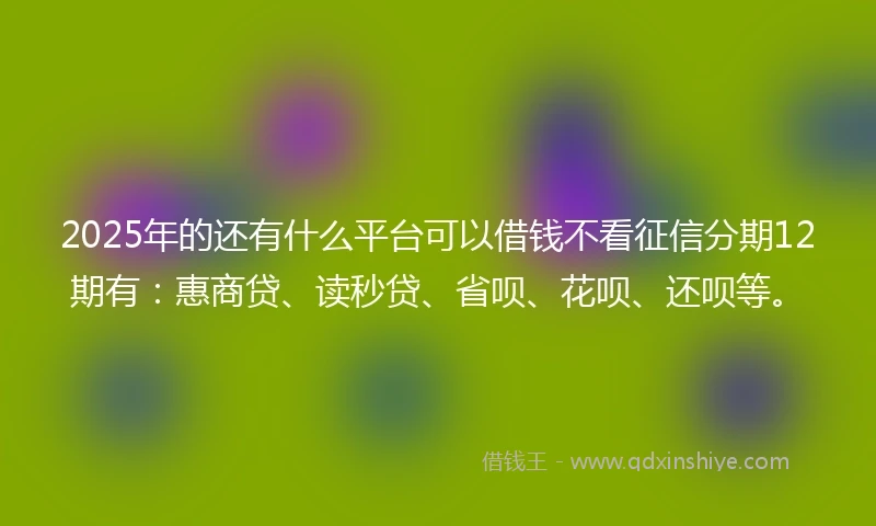 2025年的还有什么平台可以借钱不看征信分期12期有：惠商贷、读秒贷、省呗、花呗、还呗等。
