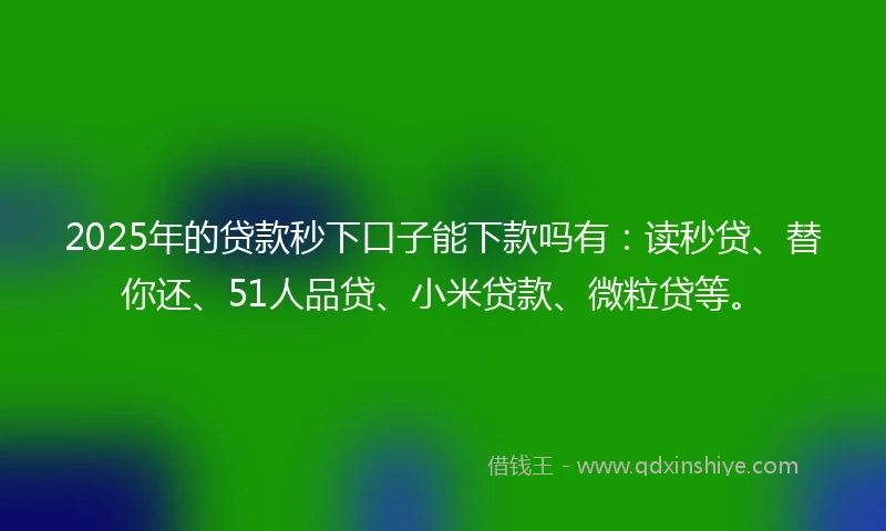 2025年的贷款秒下口子能下款吗有：读秒贷、替你还、51人品贷、小米贷款、微粒贷等。