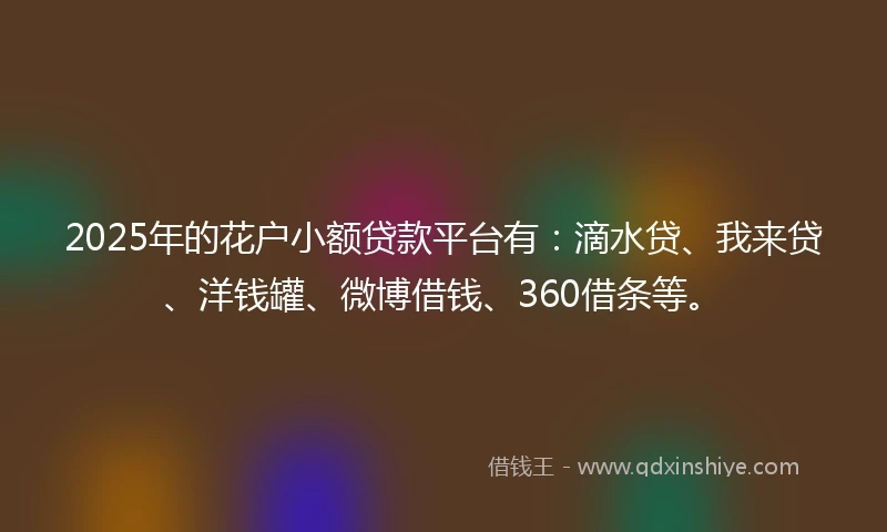 2025年的花户小额贷款平台有：滴水贷、我来贷、洋钱罐、微博借钱、360借条等。