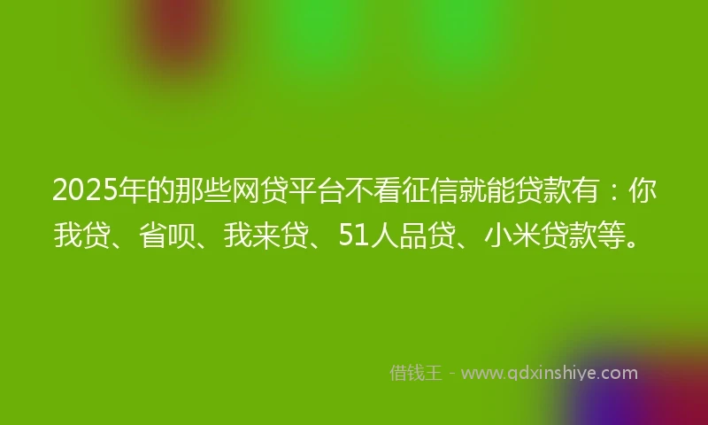 2025年的那些网贷平台不看征信就能贷款有：你我贷、省呗、我来贷、51人品贷、小米贷款等。