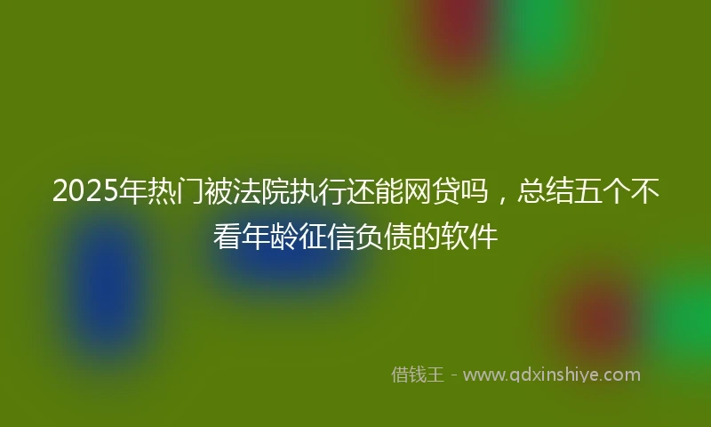 2025年热门被法院执行还能网贷吗，总结五个不看年龄征信负债的软件
