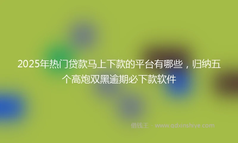 2025年热门贷款马上下款的平台有哪些，归纳五个高炮双黑逾期必下款软件