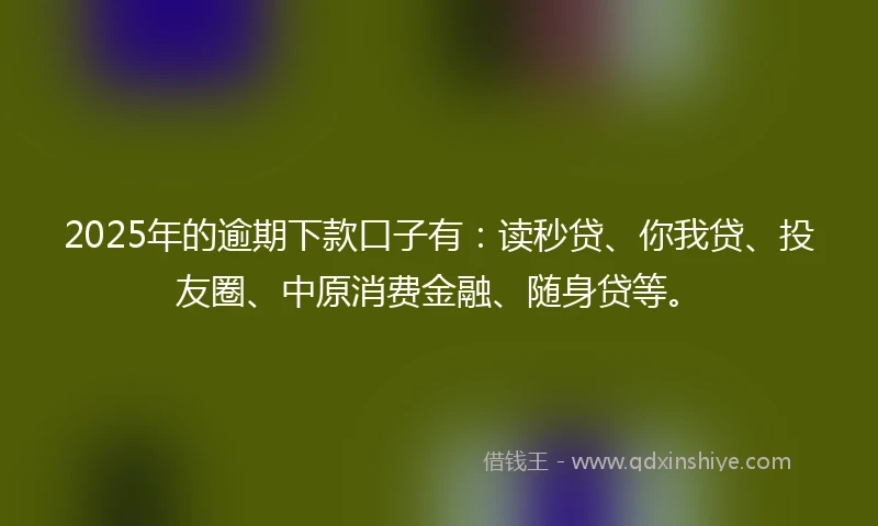 2025年的逾期下款口子有：读秒贷、你我贷、投友圈、中原消费金融、随身贷等。