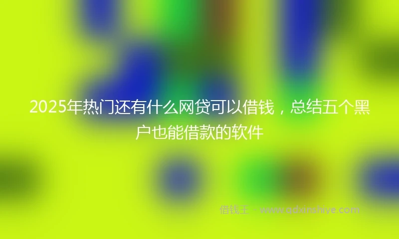 2025年热门还有什么网贷可以借钱，总结五个黑户也能借款的软件