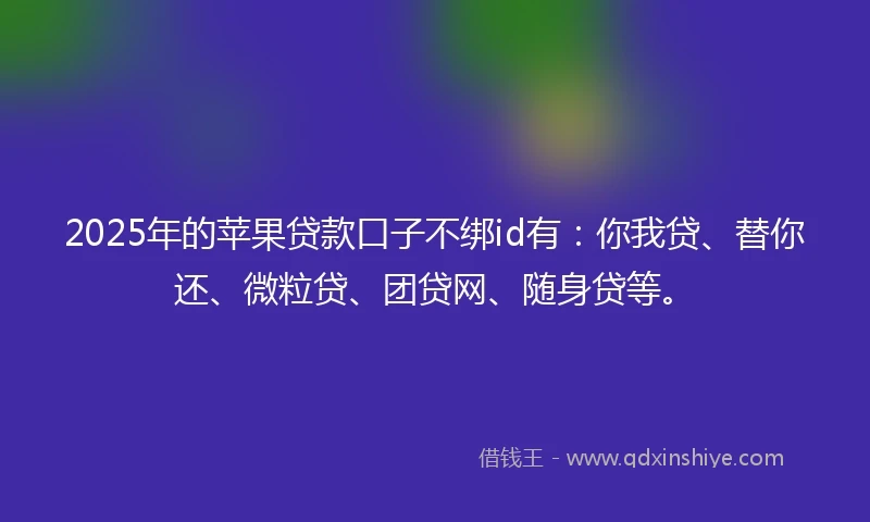 2025年的苹果贷款口子不绑id有：你我贷、替你还、微粒贷、团贷网、随身贷等。