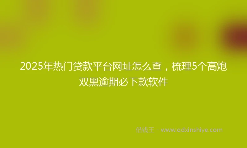 2025年热门贷款平台网址怎么查,梳理5个高炮双黑逾期必下款软件