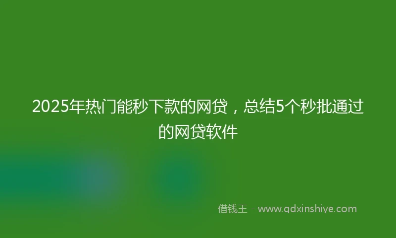 2025年热门能秒下款的网贷，总结5个秒批通过的网贷软件