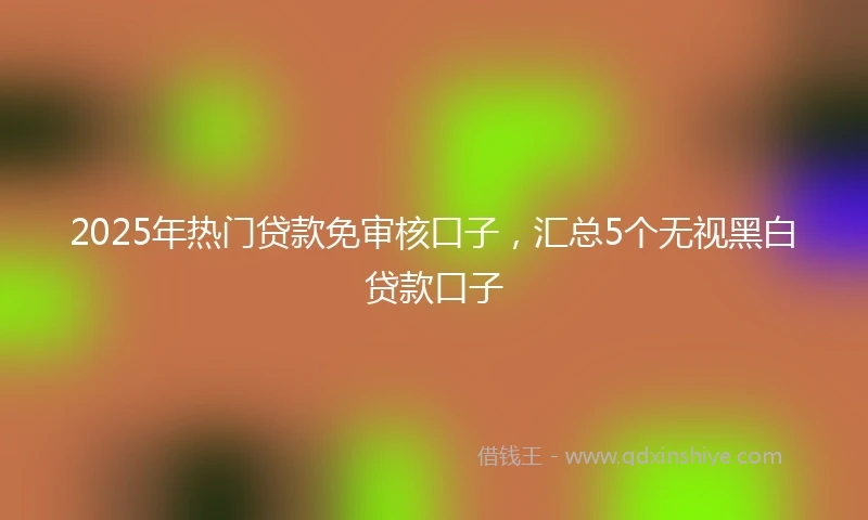 2025年热门贷款免审核口子，汇总5个无视黑白贷款口子