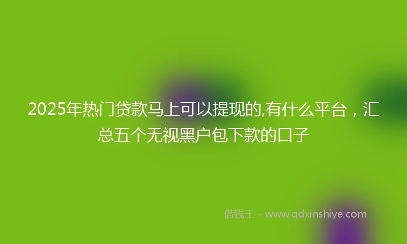 2025年热门贷款马上可以提现的,有什么平台，汇总五个无视黑户包下款的口子